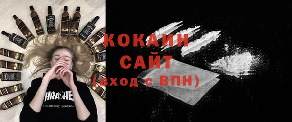 прущие грибы Лабытнанги