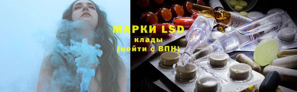 МДПВ Липки