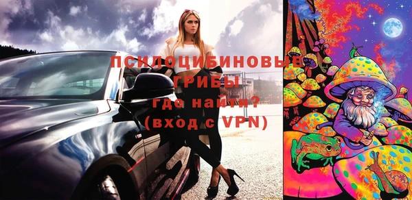 МДПВ Липки