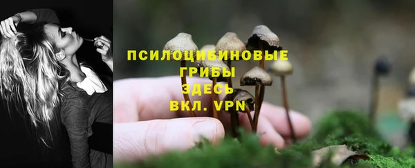 гидропоника Кулебаки