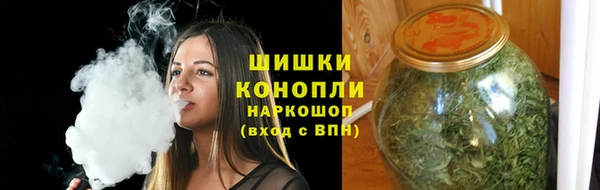 МДПВ Липки