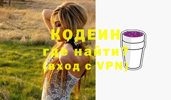 прущие грибы Лабытнанги