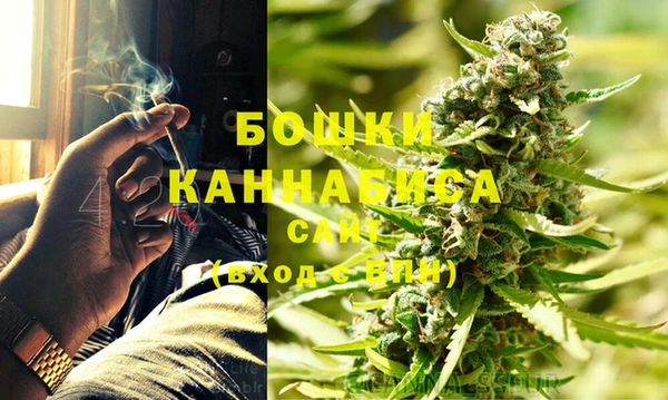 прущие грибы Лабытнанги