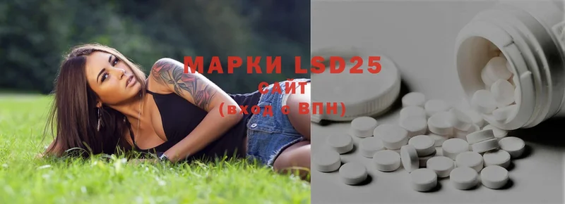 как найти закладки  это наркотические препараты  ЛСД экстази ecstasy  Каргополь 