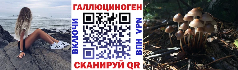 купить закладку  Каргополь  Галлюциногенные грибы Psilocybine cubensis 